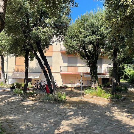Giardino Ovest - A Pochi Passi Dal Mare Lejlighed San Vincenzo Eksteriør billede