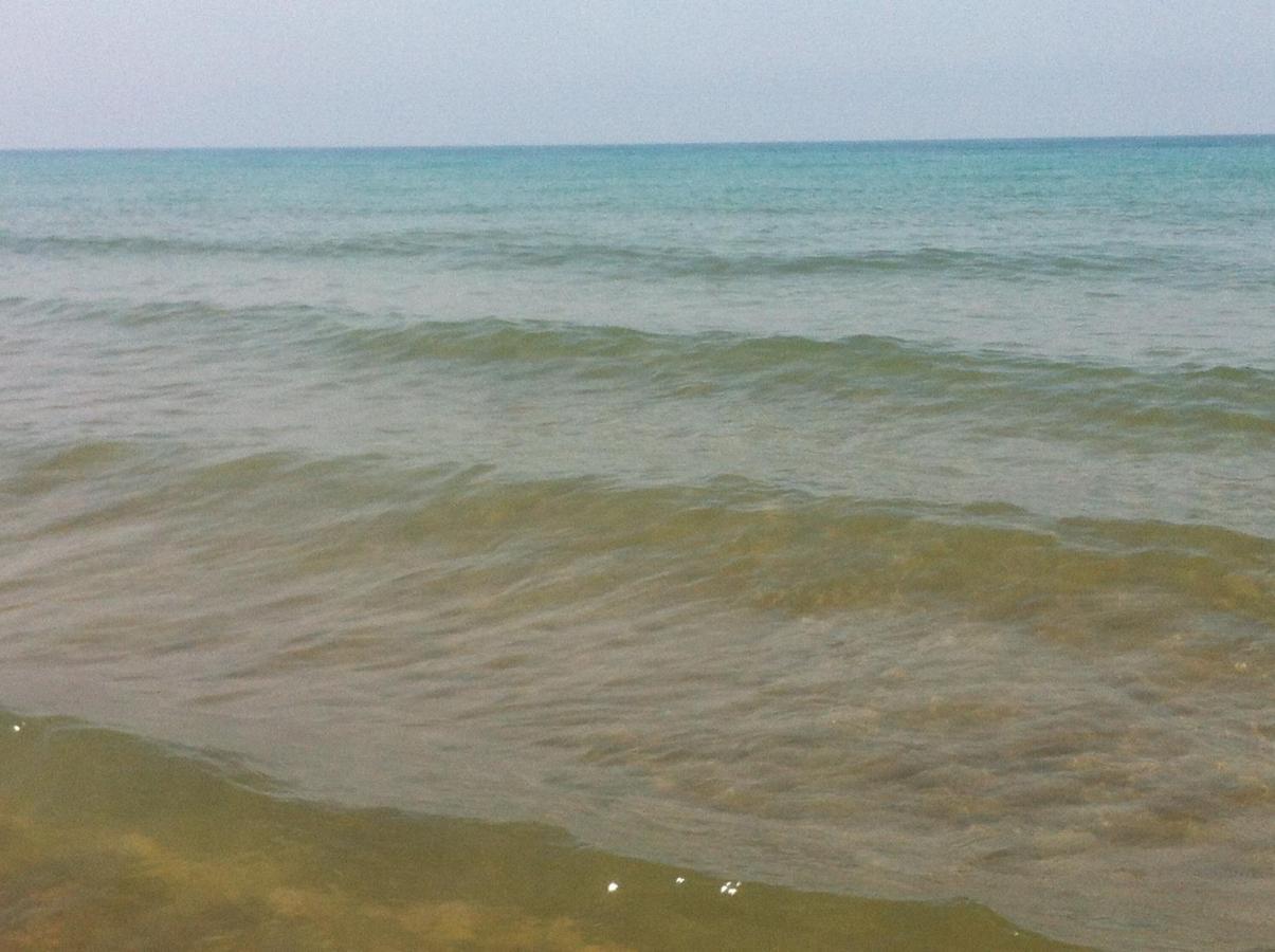 Giardino Ovest - A Pochi Passi Dal Mare Lejlighed San Vincenzo Eksteriør billede