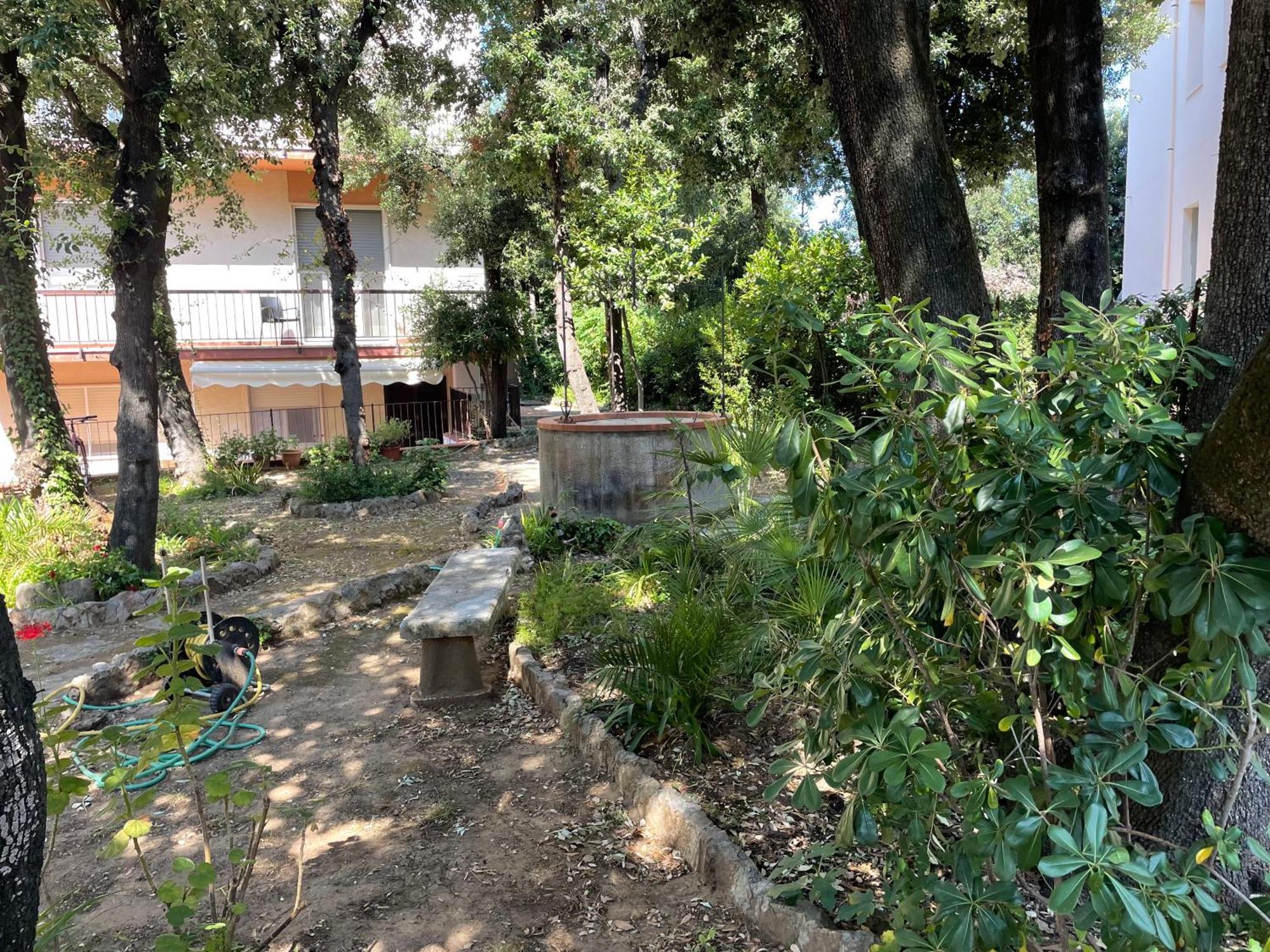 Giardino Ovest - A Pochi Passi Dal Mare Lejlighed San Vincenzo Eksteriør billede
